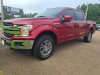 Pre-Owned 2019 Ford F-150 Lariat