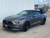 Pre-Owned 2015 Ford Mustang EcoBoost Premium