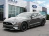 New 2021 Ford Mustang GT