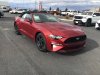 Pre-Owned 2019 Ford Mustang EcoBoost Premium