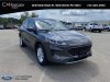 Certified Pre-Owned 2020 Ford Escape SE