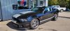 Pre-Owned 2010 Ford Shelby GT500 Base