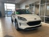 Pre-Owned 2021 Ford Escape SEL