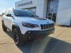 Pre-Owned 2019 Jeep Cherokee Trailhawk Elite