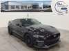 Pre-Owned 2019 Ford Mustang GT Premium