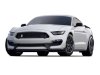 Pre-Owned 2019 Ford Mustang Shelby GT350R